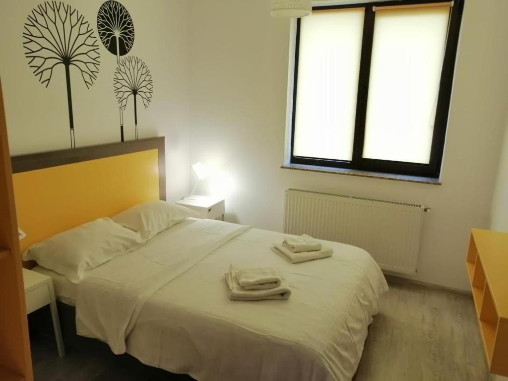 Cozy Accommodation Central City - Яш Екстериор снимка